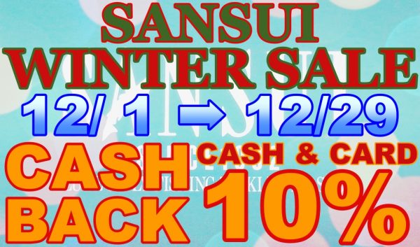 wintersale202412011229