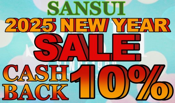 2025newyearsale